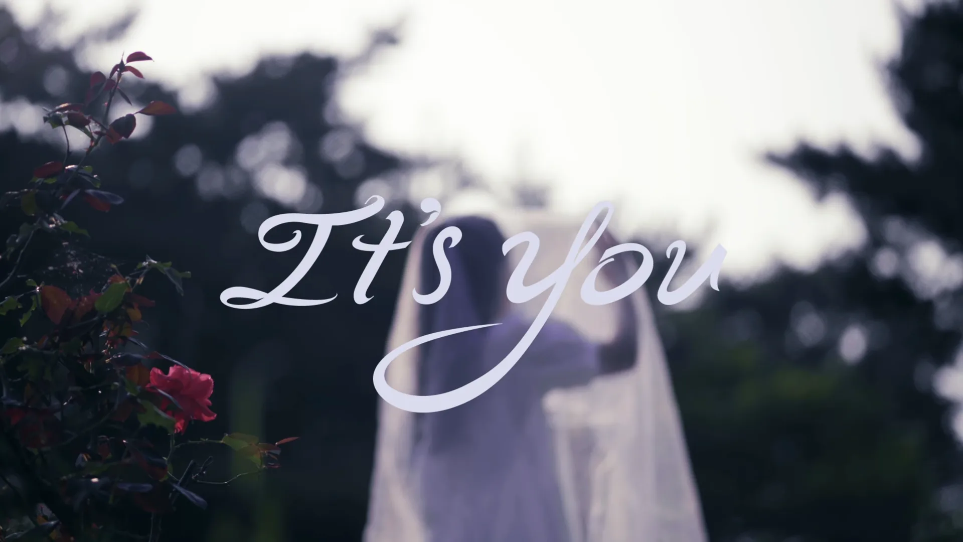 [MV] ZARI - It's You 작품 장면